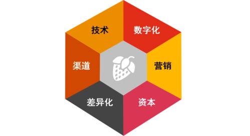 健康食品市場迎風口 物聯網技術助推產業新機遇